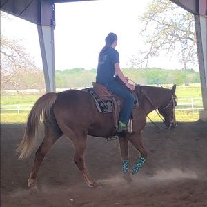 Meet your Posher, Audrey